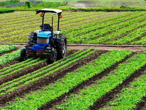 Agro Farming