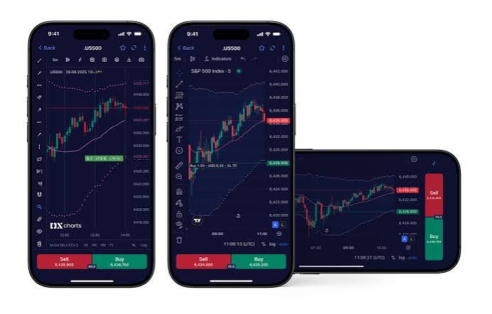 Phone Mockup Display